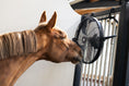 Afbeelding laden in Galerijviewer, Equi Alert Air Pro
