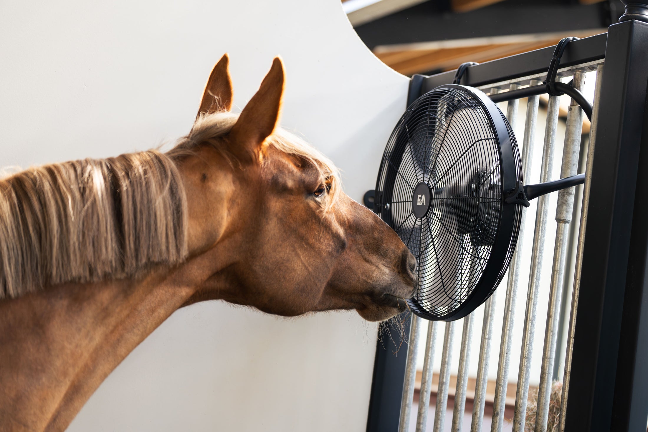 Equi Alert Air Pro