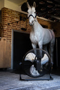 Afbeelding laden in Galerijviewer, Equi Alert Air Pro
