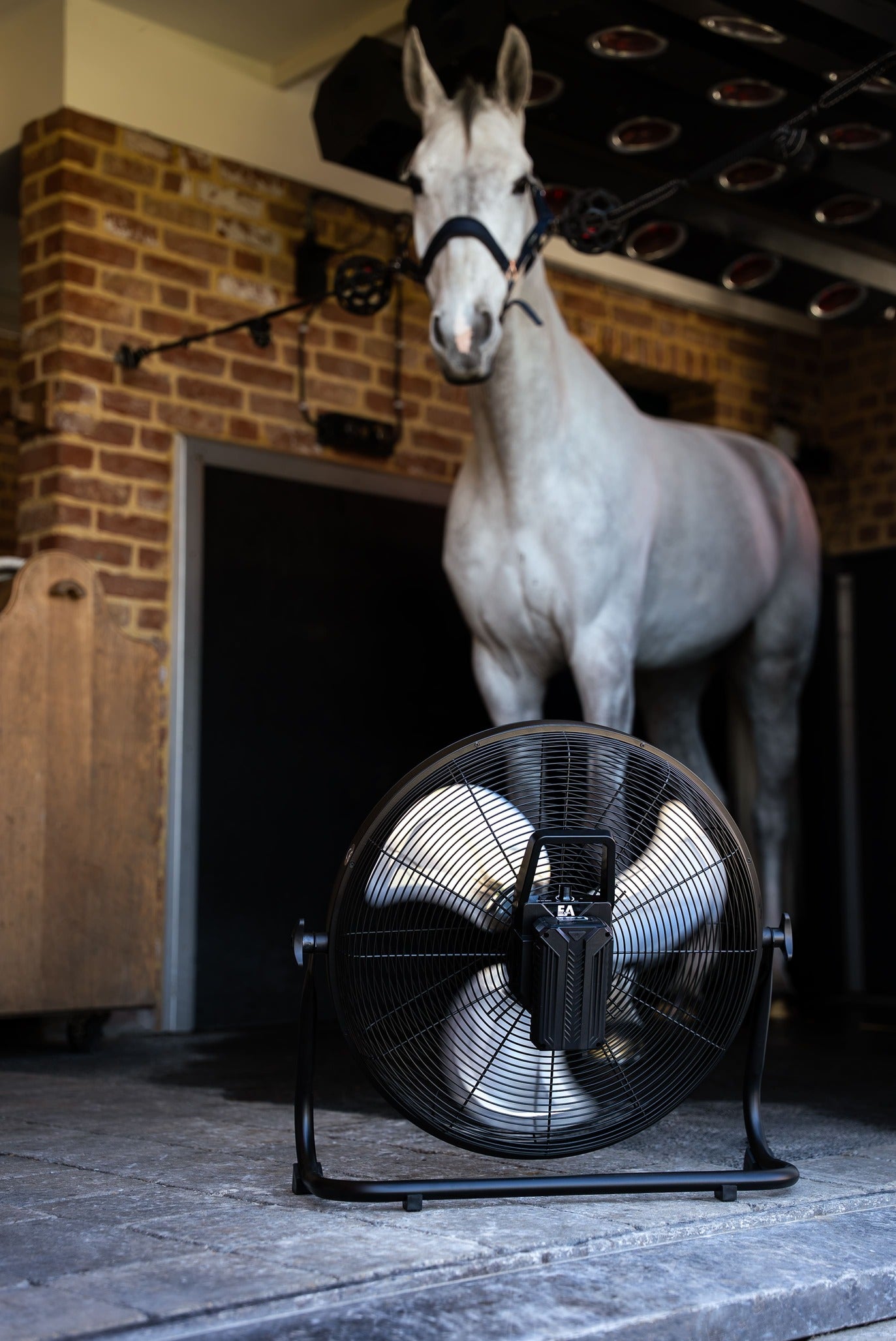 Equi Alert Air Pro