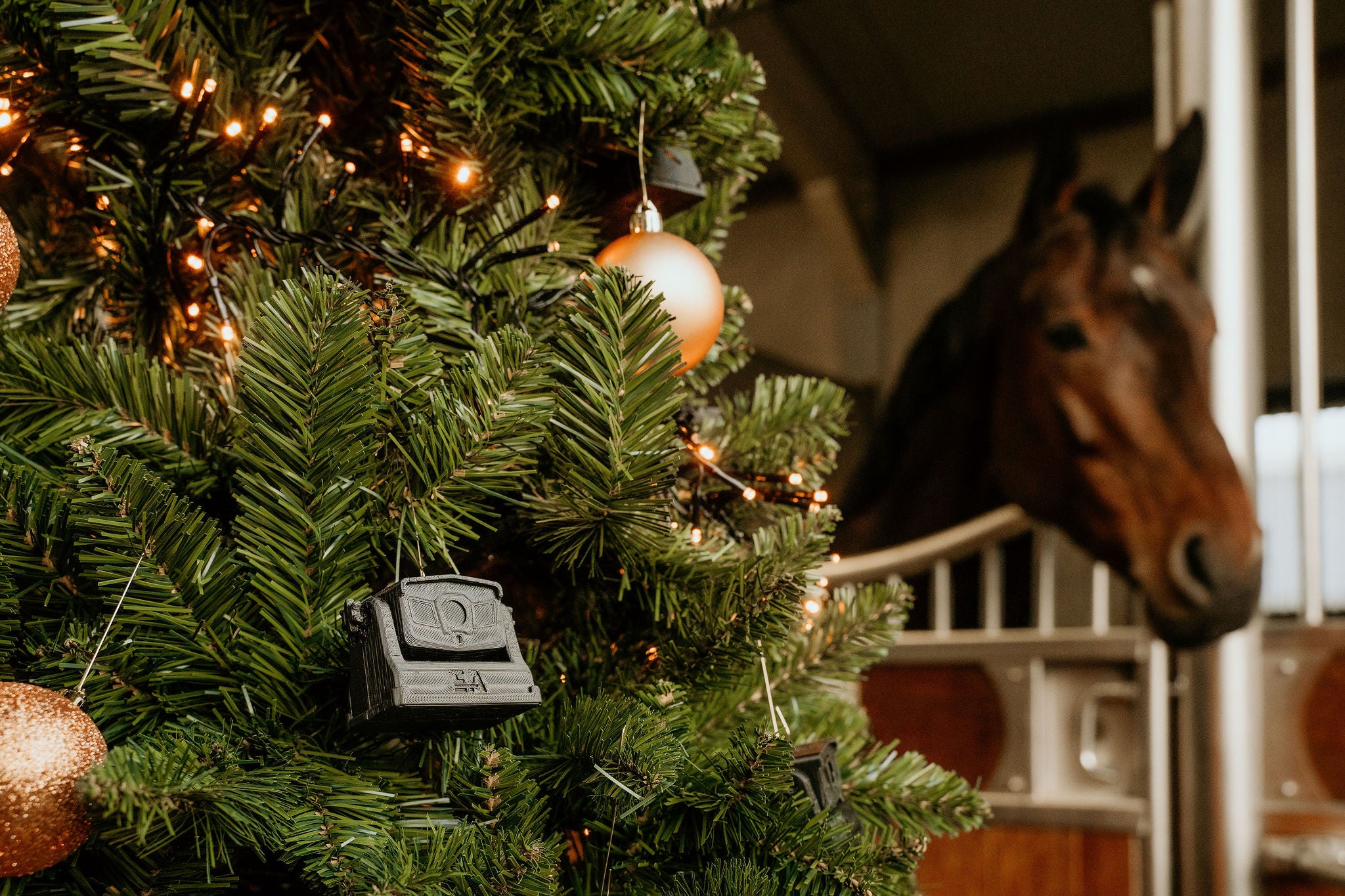 Christmas ornament - Equi Alert Vision